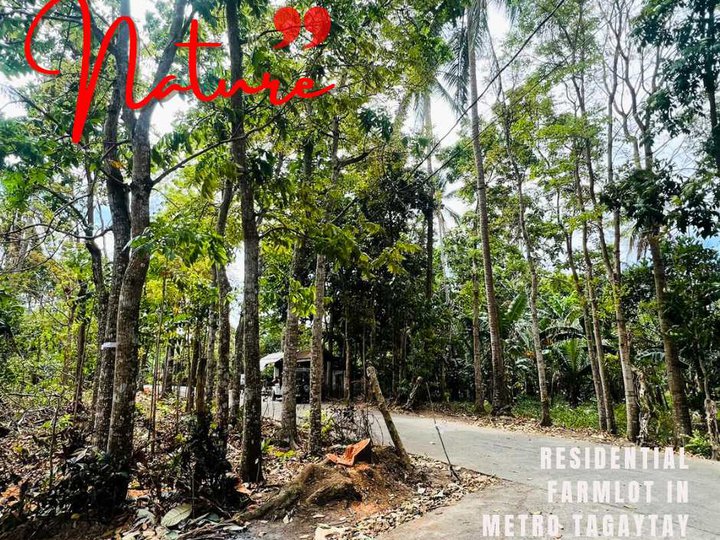 2,500 per sqm Affordable Farm Lot for sale in Bailen Cavite