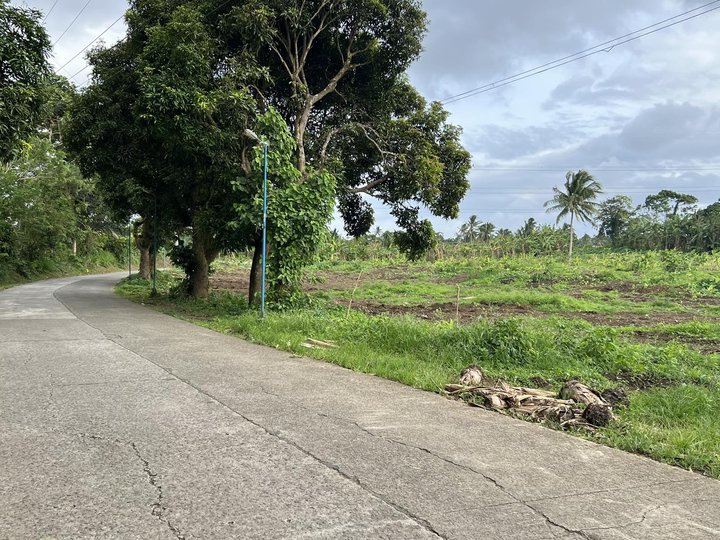 Transfer of Title Included Farm Lot for sale in Alfonso near Tagaytay