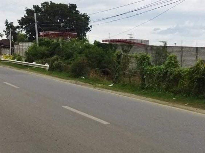 24386 sqm Commercial Lot For Sale By Owner in Roxas Isabela