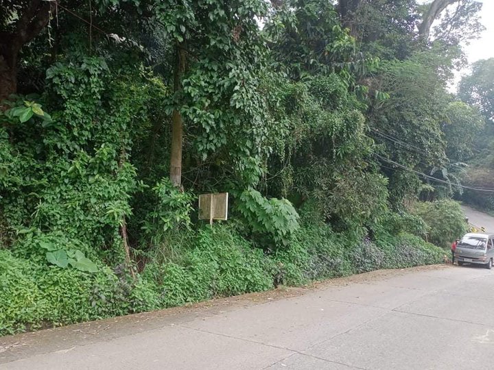 1203 sqm Residential Farm For Sale By Owner in Antipolo Rizal
