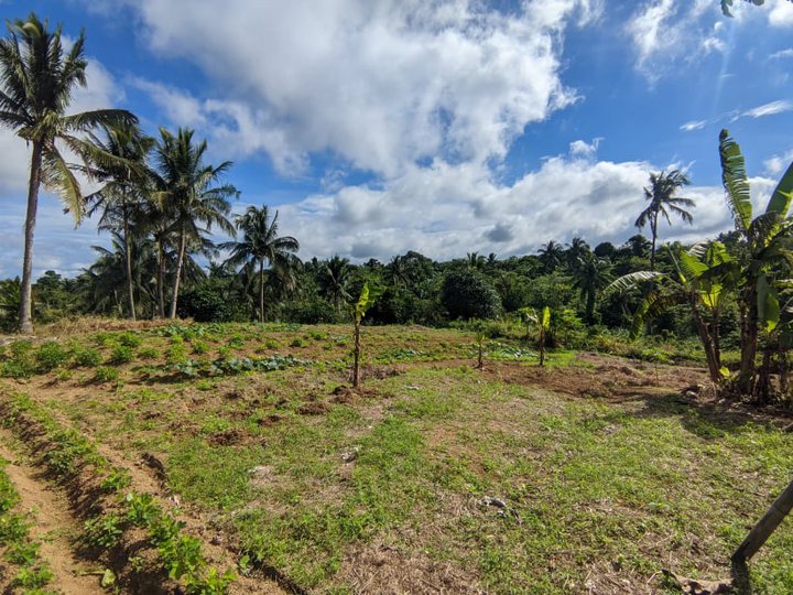Residential Farm For Sale in Amadeo Cavite