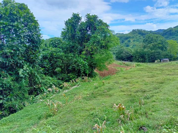 2,000 sqm Residential Farm For Sale in Hamtic Antique