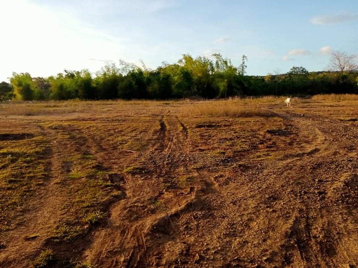 1.2 hectares Agricultural Farm For Sale in Pililla Rizal