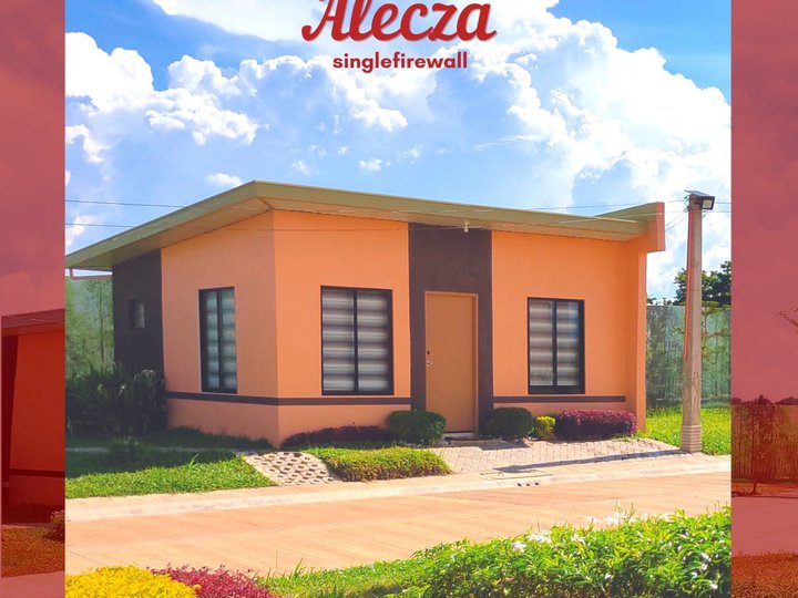 Alecza Single/Duplex at Bria Homes