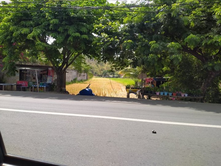 3,000 sqm Commercial Lot For Sale in Tanay Rizal