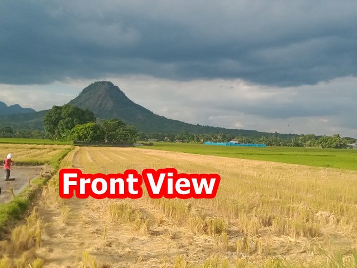 7,178 sqm Agricultural Farm For Sale in Dinalupihan Bataan
