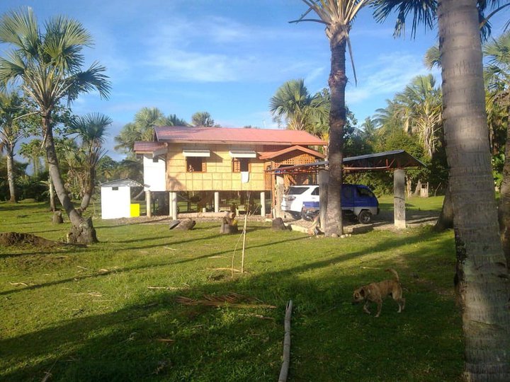 For sale wellmaintained farm lot in Sariaya Quezon [Lot 🚜] (November