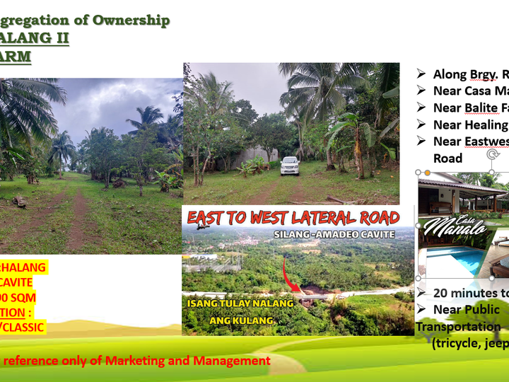 For Sale  203 sqm Residential Farm lots  in Silang Cavite