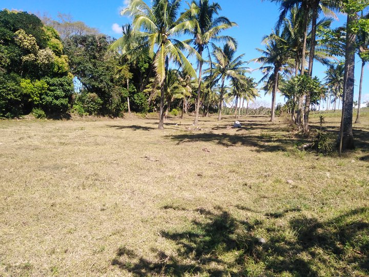 250SQM Titled Subdivided Lot in Calaca, Batangas