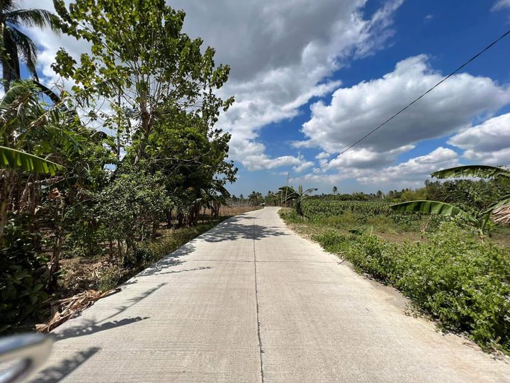500sqm Residential Farm Lot for sale in Magallanes Cavite [Lot 🚜