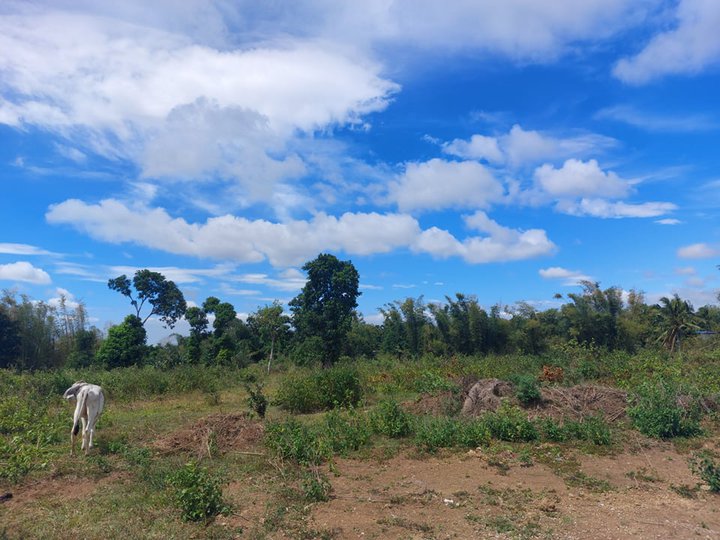 Subdivided Residential Farm Lots for Sale in Silang Cavite