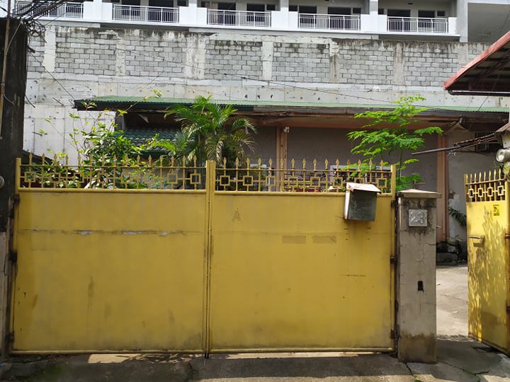 250 sqm Residential Lot For Sale By Owner in Pasig City