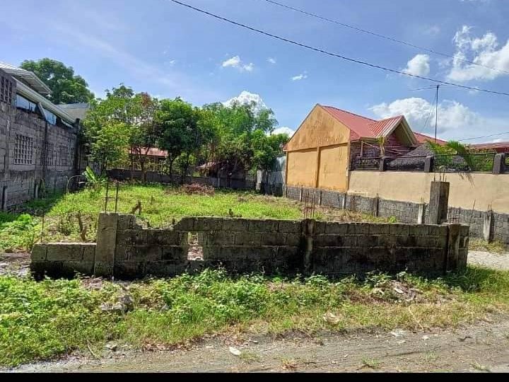 485 sqm Residential Lot For Sale By Owner in Villasis Pangasinan
