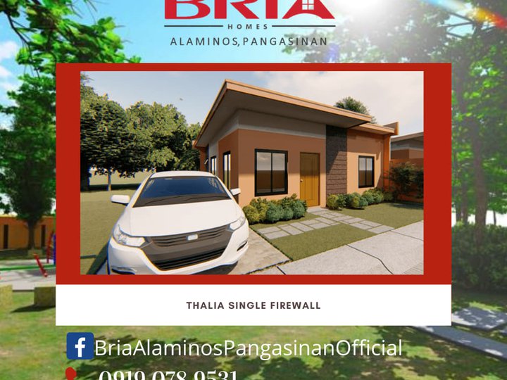 Pre-selling 3-bedroom Single Detached House For Sale in Alaminos