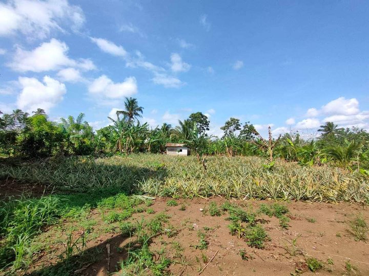 150 sqm Residential Farm For Sale in Amadeo Cavite