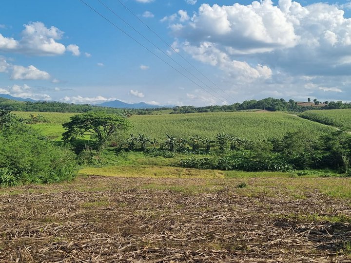 10 Hectares Agricultural Lot For Sale!!
