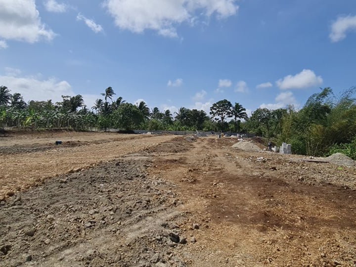 Residential Farm Lot  For Sale in Amadeo Cavite