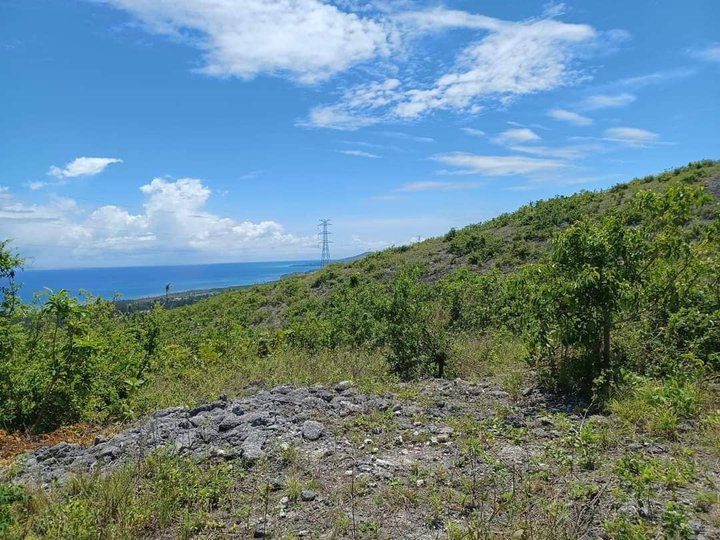 5 Years to pay 120 sqm Residential Lot For Sale in Sibonga Cebu