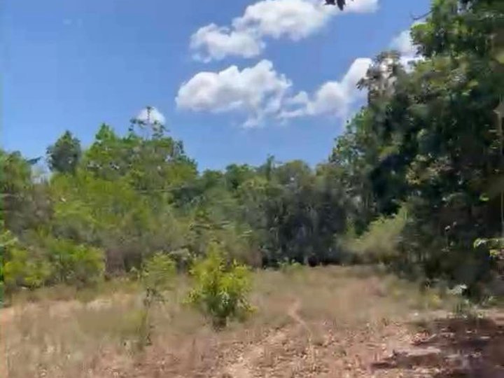 Ibaan Batangas Farm Lot for Sale