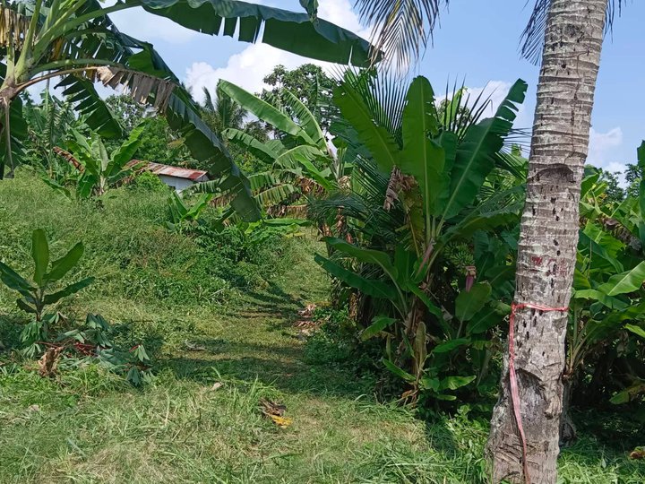 150 sqm Residential Farm For Sale in Amadeo Cavite