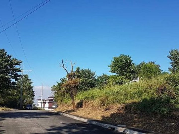 299 sqm Residential Lot For Sale in San Mateo Rizal