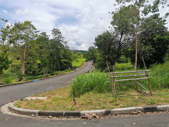 RESIDENTIAL LOT FOR SALE IN FAIRMOUNT HILLS IN ANTIPOLO CITY