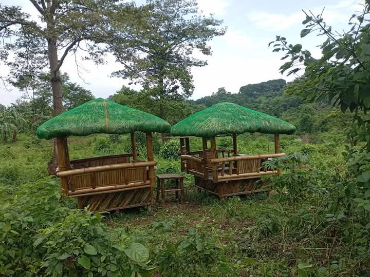 100sqm lot area, resi-farm for sale in Morong Rizal