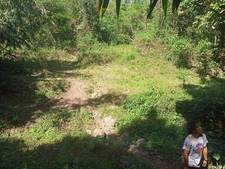 100000 sqm Residential Farm For Sale By Owner in Tanay Rizal