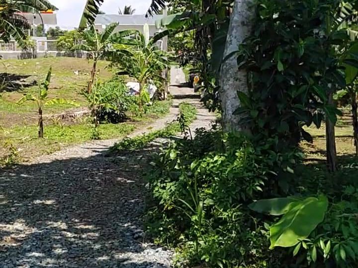 2,194Sqm. Lot For Sale (Title) Near Nat'l. Road Indang