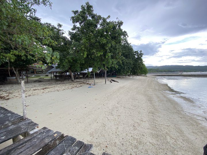 1 hectare Developed Beach Property For Sale in Samal Island, Davao