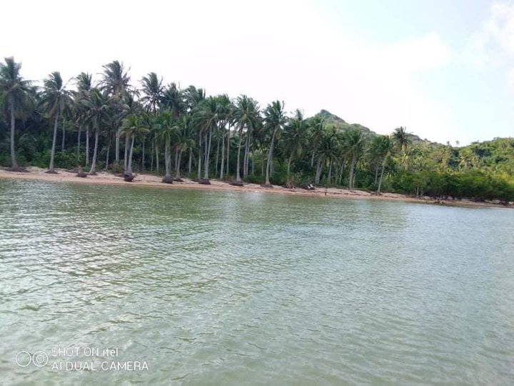 24921 sqm Beach Property For Sale in Caramoan Camarines Sur