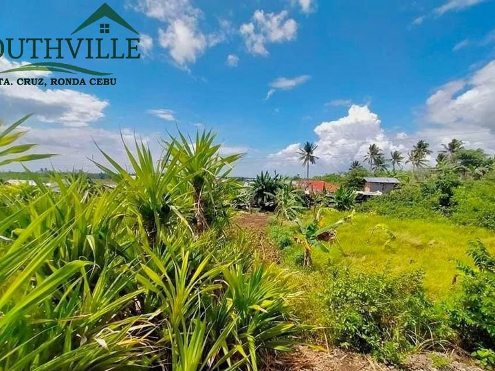 5 Year to pay 150 sqm Residential Lot For Sale in Ronda Cebu