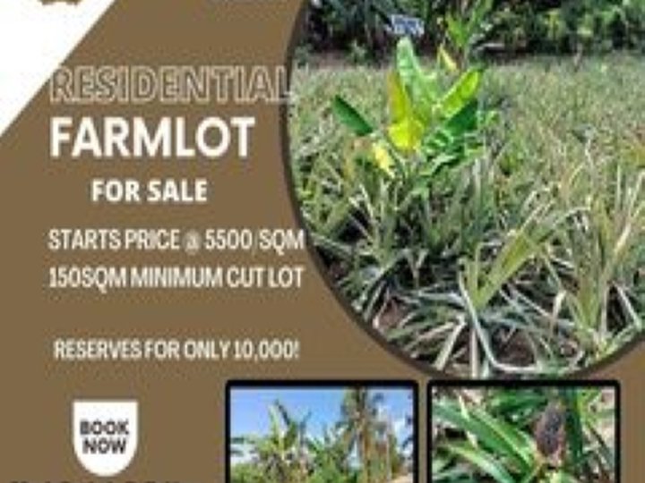 150 sqm Residential Farm For Sale in Amadeo Cavite
