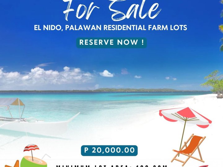 100 sqm Residential Farm for Sale in EL NIDO PALAWAN [Lot 🚜] (January 2023) in El Nido (Bacuit
