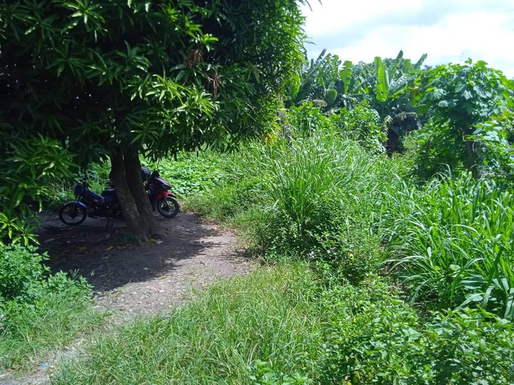 1500 sqm Commercial Lot For Sale in Naga Camarines Sur