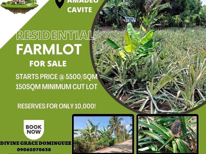 150 sqm Residential Farm For Sale in Amadeo Cavite