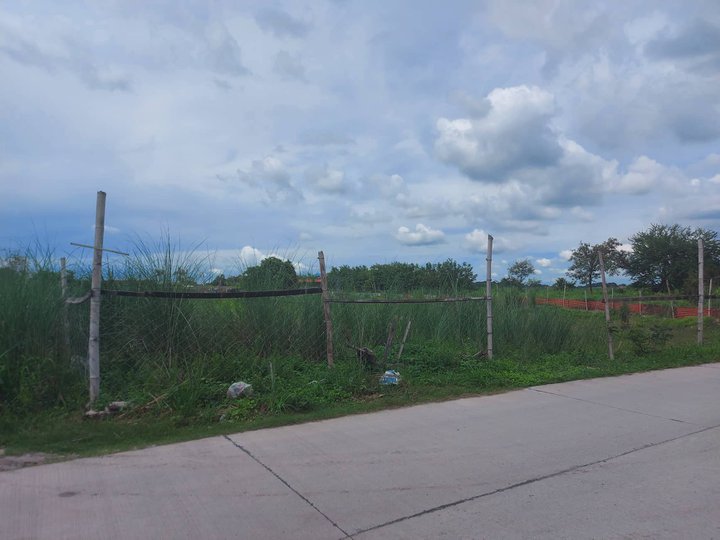 Residential/Commercial Corner Lot in Porac, Pampanga For Sale