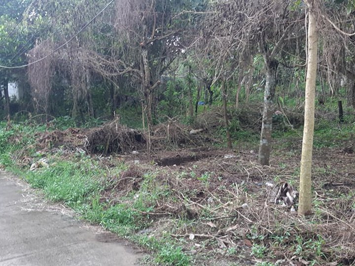 Lot for Sale in Tagaytay at 7k per sqm