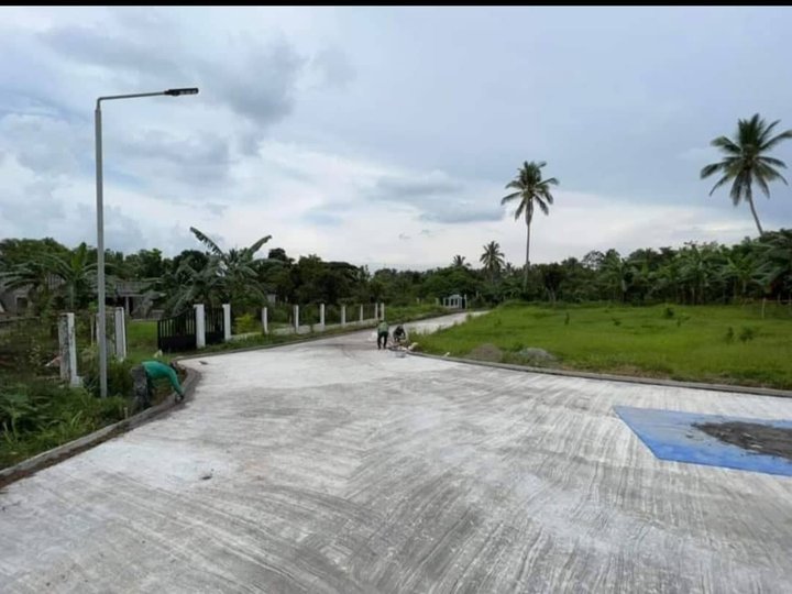 500 Sqm Gated Residential Farm Lot  -5km To Alfonso Bayan