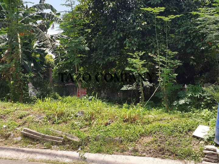 377 sqm Residential Lot For Sale in Parañaque, Merville