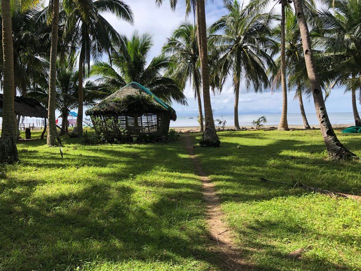 10000 sqm Beach Property For Sale in Agdangan Quezon