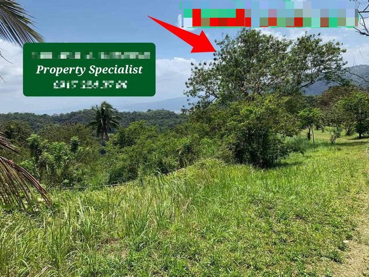 BIGGER LOT FOR SALE WITH TAAL VIEW @ TAGAYTAY CITY