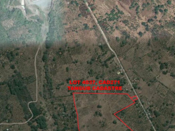 23.28 hectares Agricultural Land For Sale in Tangub Misamis Occidental