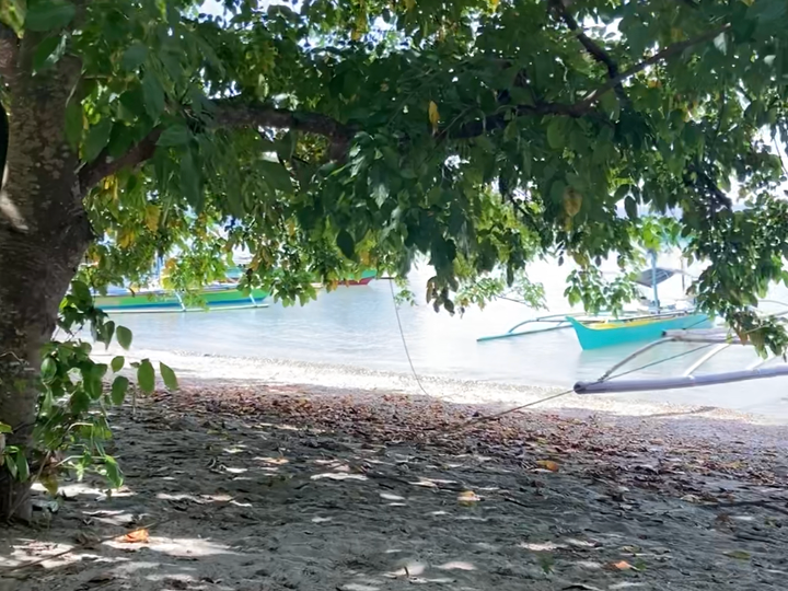 Furnished 6,000 sqm Beach Property For Sale in Samal Davao del Norte