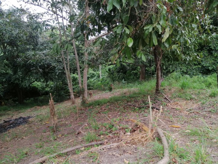 1 ,000 sqm Farm Lot For Sale in General Mariano Alvarez Cavite