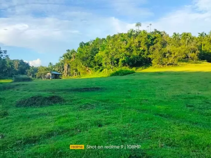3.9 hectares  residential farm lot for sale near Mirror of the World