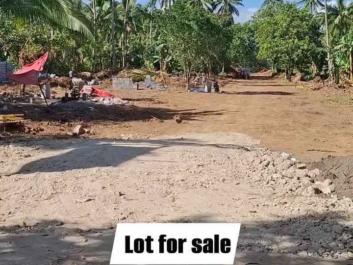 300 sqm Residential Farm Lots For Sale in General Emilio Aguinaldo Bailen  Cavite