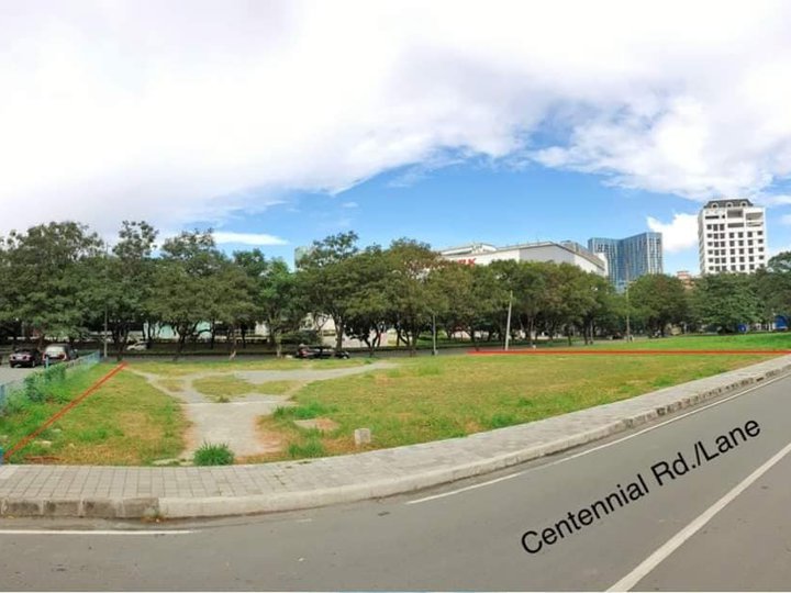 COMMERCIAL LOT FOR SALE IN ALABANG MUNTINLUPA FRONT OF FESTIVAL MALL