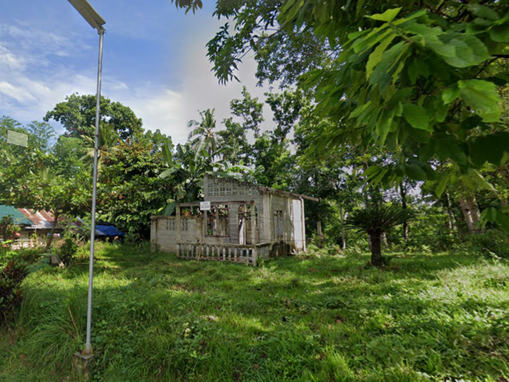 TITLED LOT FOR SALE in LUNGSODAAN, CANDIJAY, Bohol