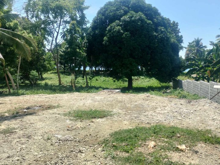 5087 SQM Beach Property in Luyang San Remigio Cebu